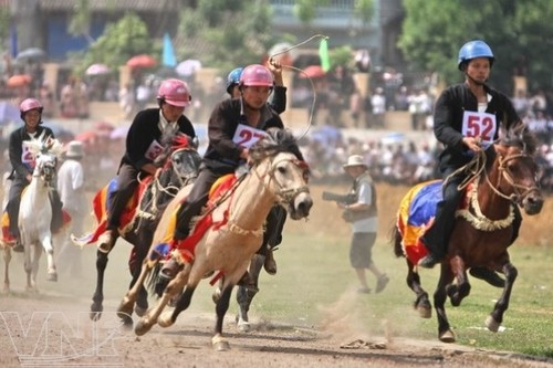 Лошадиные скачки – праздник представителей народности Монг - ảnh 1